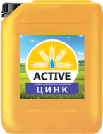       ACTIVE-