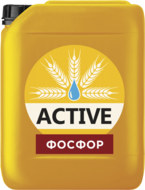       ACTIVE-