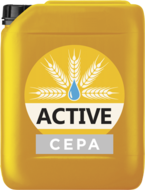       ACTIVE-