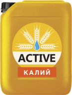       ACTIVE-